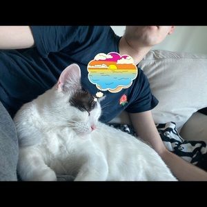 Meet your Posher, Patrick